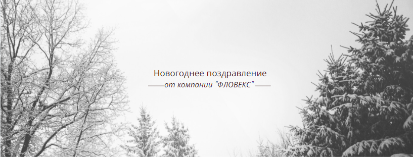 Новогоднее поздравление